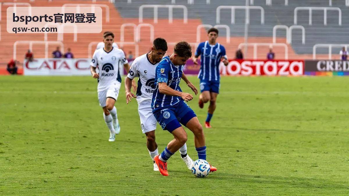 bsports官网登录账号安全防护操作示意图