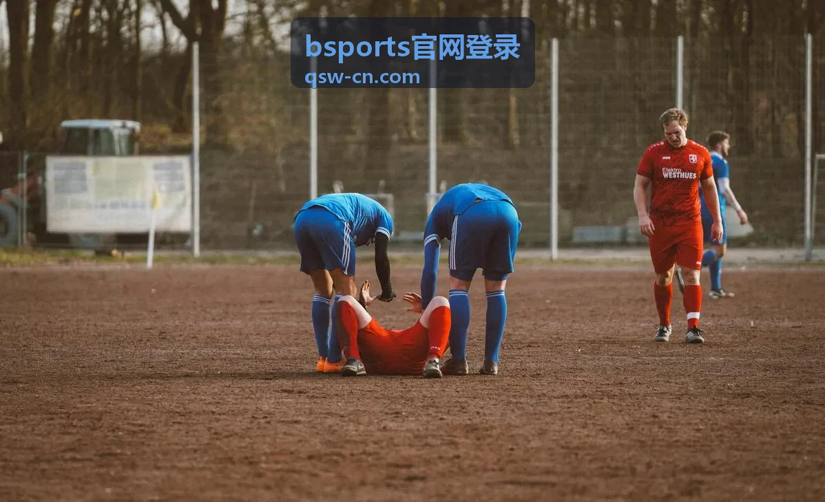 bsports官网登录相关内容配图